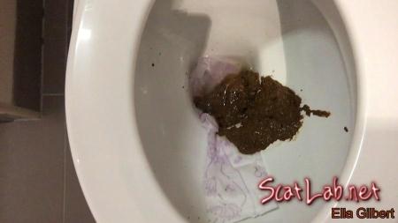 3 Types of Shit One Single Day (EllaGilbert) Shit / Poop [HD 720p] Extreme Scat