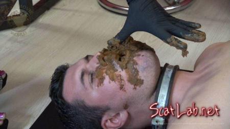 You Shall Eat Shit Forever (scat-movie-world) Shit / Poop [HD 720p] Scat Extreme