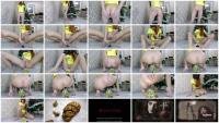 Sexy Pee And Poo (Marcos579) Pee, Scat [FullHD 1080p] Solo