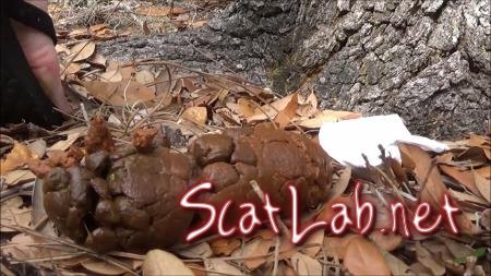 Poop 14 () Solo, Smelling [FullHD 1080p] Outdoor Scat