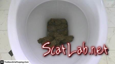 Toilet Destroyed In 5 Mins (ShitGirl) Scatology, Amateur [FullHD 1080p] Solo