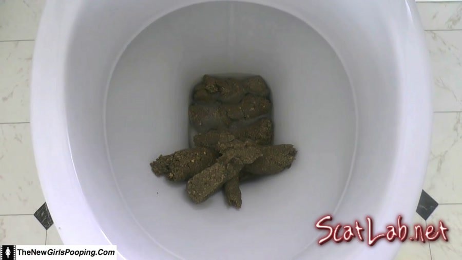 Toilet Destroyed In 5 Mins (ShitGirl) Scatology, Amateur [FullHD 1080p] Solo
