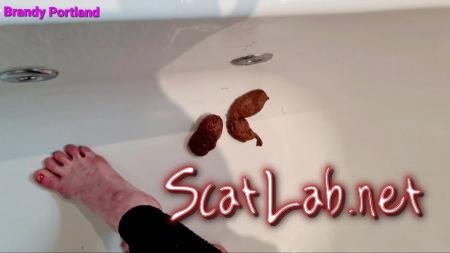 Secret Poop Full House (Brandy_Portland) Solo, Defecation [FullHD 1080p] Farting
