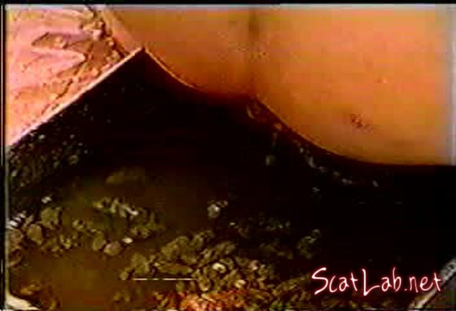 Rare Scat Enema (Amateur) Scat, Japan [DVDRip] U-Shinobu