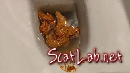 Big Load in the WC (AinaraX) Piss, Defecation [FullHD 1080p] Solo