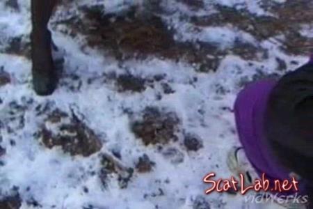 Piss In The Snow Wood (Fanny Steel) Scat / Germany [SD] SG Video