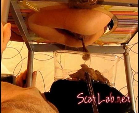 Our New Life With A Human Toilet Part 4 (Veronika) Scat Video, Scat Porn [FullHD 1080p]