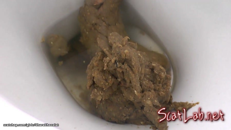 2 Lochness Monster Poos (SharaChocolat) Toilet Slavery, Amateur [FullHD 1080p] Defecation