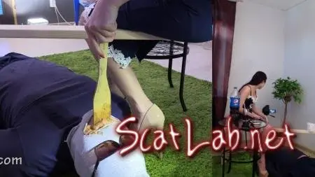 I'm happy Christina's home toilet (MilanaSmelly) Femdom, Shitting, Domination [HD 720p] Toilet Slavery ScatLab.net