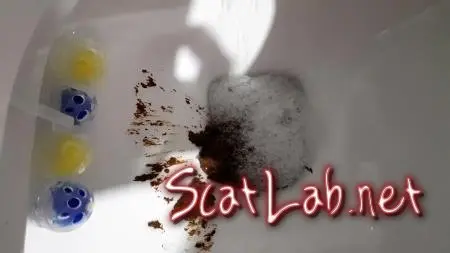 Hello Kitty. Part 8 (Aria) Solo, Amateur [FullHD 1080p] Defecation ScatLab.net