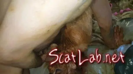 Christmas Shitty Massacre. Part 3 (Aria) Scat Fuck, Anal [FullHD 1080p] Sex Shit