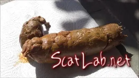 Perfect Dump (Tegan) Big pile, Solo [FullHD 1080p] Outdoor Scat ScatLab.net