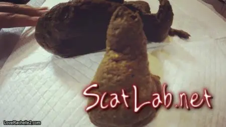 Turd Cutter Series… Shit & Showoff: Part 8 (LoveRachelle2) Scatology, Solo [FullHD 1080p] Panty Scat ScatLab.net