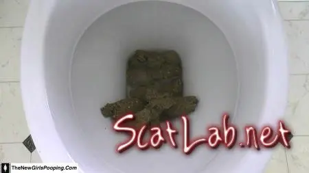 Toilet Destroyed In 5 Mins (ShitGirl) Scatology, Amateur [FullHD 1080p] Solo ScatLab.net