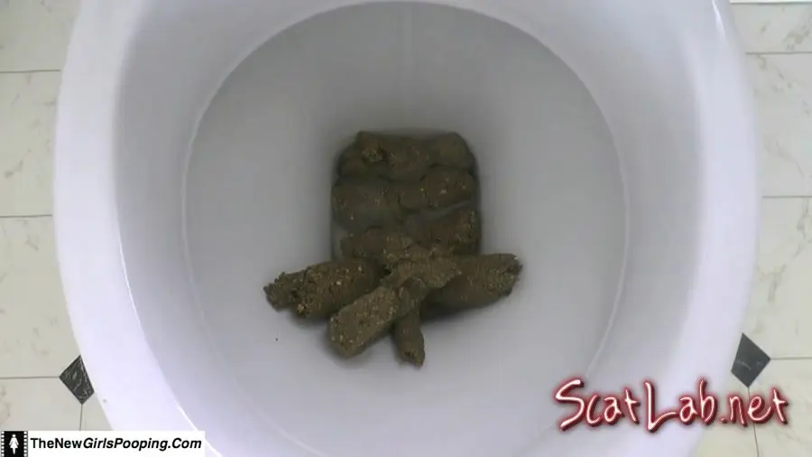 Toilet Destroyed In 5 Mins (ShitGirl) Scatology, Amateur [FullHD 1080p] Solo
