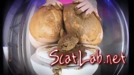 Thick Poop vs. Soft Shit (DirtyBetty) Shitting Ass, Solo [FullHD 1080p] New scat