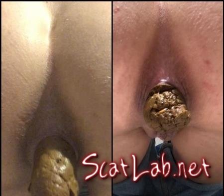 Morning shit x6 (TheHealthyWhores) Scatology, Solo [FullHD 1080p] Defecation