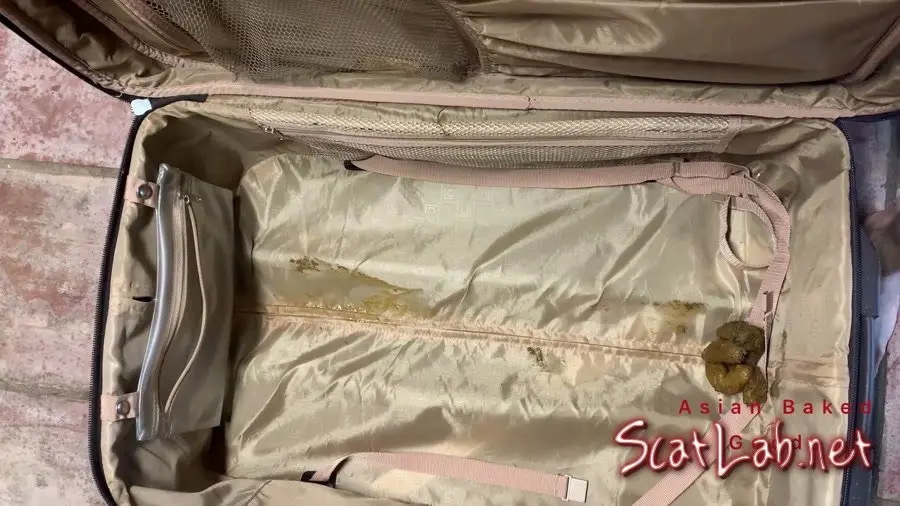 Shit in suitcase, dragged around town! (Marinayam19) Solo, Poop [FullHD 1080p] New scat