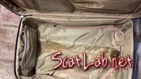 Shit in suitcase, dragged around town! (Marinayam19) Solo, Poop [FullHD 1080p] New scat