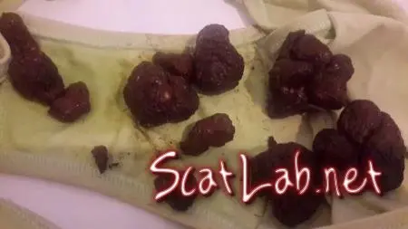 12 Turds 4 Slave (Thefartbabes) Scatology, Solo [FullHD 1080p] Panties