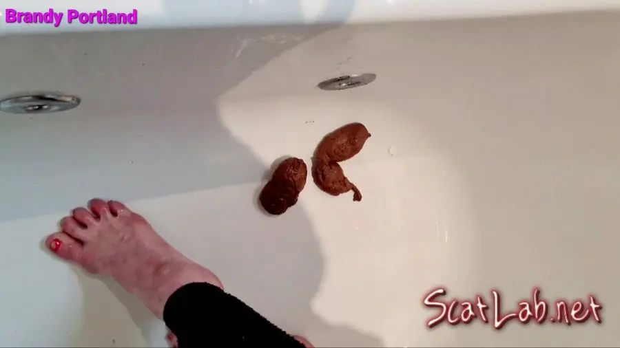 Secret Poop Full House (Brandy_Portland) Solo, Defecation [FullHD 1080p] Farting