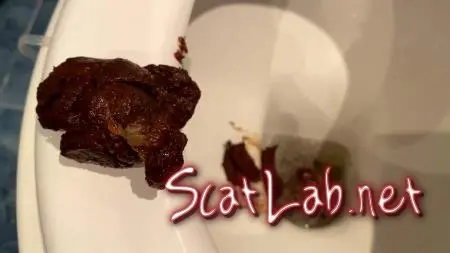 My Slave Is Ready (Thefartbabes) Poop, Solo [FullHD 1080p] Stars Scat ScatLab.net