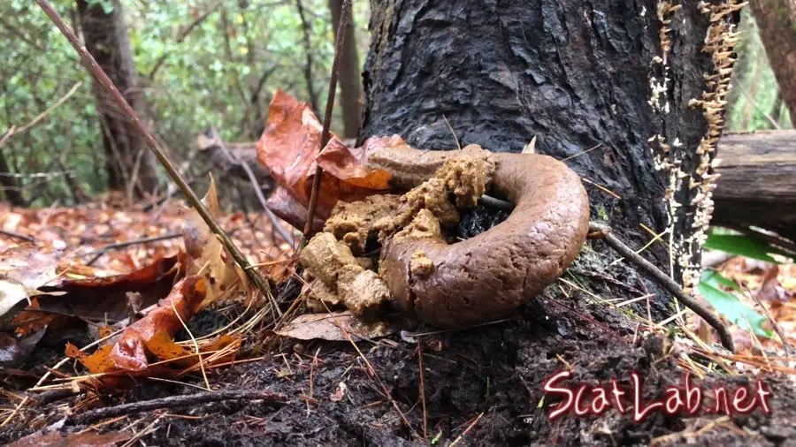 4k Huge Snaky Shit Outdoors (Goddesslucy) Solo, Shit [UltraHD 4K] Outdoor Scat