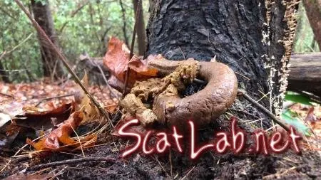 4k Huge Snaky Shit Outdoors (Goddesslucy) Solo, Shit [UltraHD 4K] Outdoor Scat