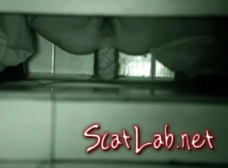 Shit compilation 002 (Solo) Piss, Defecation [DVDRip] Tualet.net