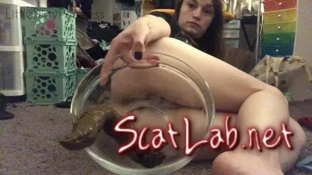 Pooping a long thick one into a bowl in my bedroom (LittleDirtyPrincess) Amateur, Solo [FullHD 1080p] Big pile