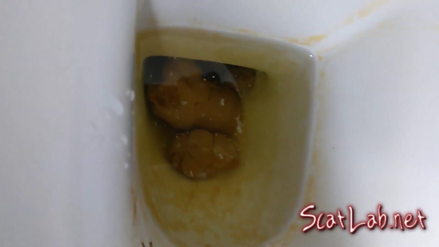 Talking on the toilet whilst shitting (PooGirlSofia) Extreme, Solo [FullHD 1080p] Poop