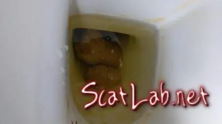 Talking on the toilet whilst shitting (PooGirlSofia) Extreme, Solo [FullHD 1080p] Poop