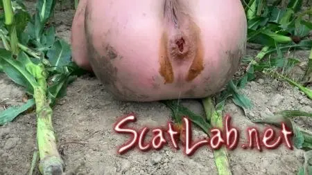 Extremely dirty with rubber boots in the field on the way (Devil Sophi) Solo, Shit [FullHD 1080p] Big pile ScatLab.net