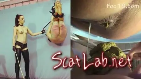 Wretched animal 2 (Femdom) Spanking, Human toilet [HD 720p] FemdomEmpire.com