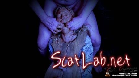 Scat Slut Celeste medieval slave shit training (SlutOrgasma) Domination, Scat [FullHD 1080p] Toilet Slavery
