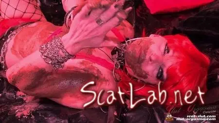 Party whore is playing with her shit - Dirty whore extreme shit throating and puking (Shit play at a party) Eat, Blowjob [FullHD 1080p] Fetish