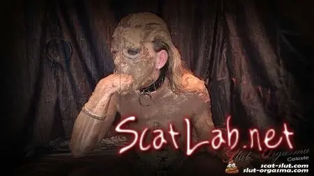 Full covered in one week collected shit (SlutOrgasma) Solo, Milf [FullHD 1080p] Fetish