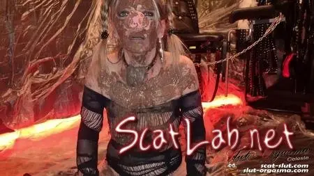 Extreme shit and puke swallowing - Extreme scat pig (SlutOrgasma) Masturbation, Solo [FullHD 1080p] Fetish