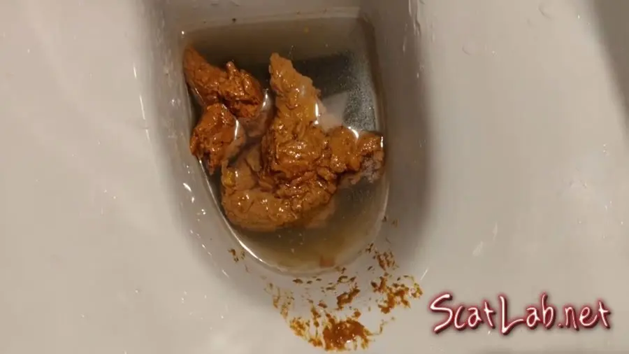 Big Load in the WC (AinaraX) Piss, Defecation [FullHD 1080p] Solo