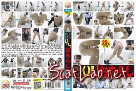 SL-059 帰社直後OLおもらし (Office lady peeingOL・秘書) [HD 720p]