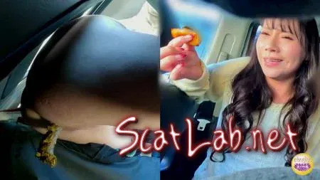 Shameful Poop in Travel Car Trip PART-2 (Asian Girl) Defecation, Japan [FullHD 1080p] SL-612