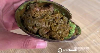 AVOCADO REFILL (Ella Dearest) Scat, Eat Shit [FullHD 1080p] ScatBook