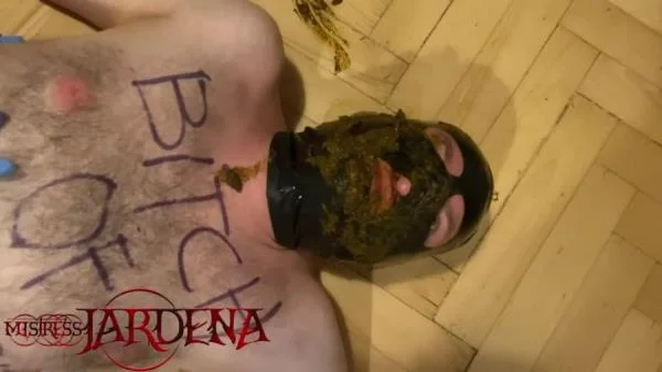 Masacrated bitch on first toilet session (Mistress Jardena) Kaviar, Humiliation [HD 720p] Scatbook.com