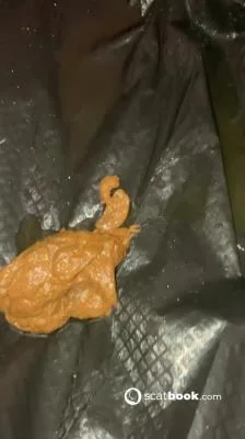 Hairy Pooping Butthole (Aurora Jolie) Poop, Amateur [SD] Scatbook.com ScatLab.net