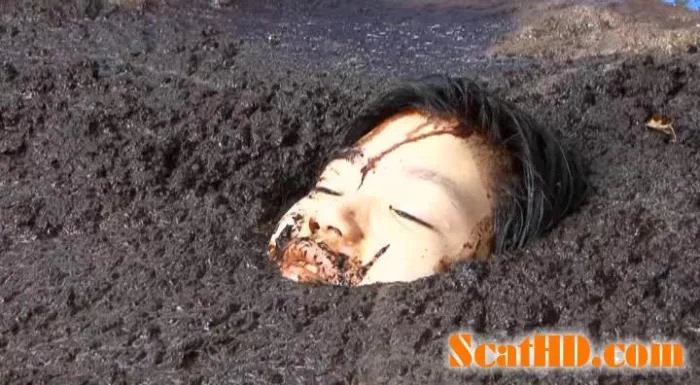 JAV - Cow shit Vol.02 (JAV)  [DVDRip]