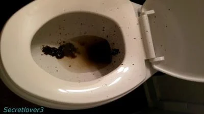 Toilet Spray (Sorsha aka Secretlover3) Poop, Amateur [FullHD 1080p] Scatshop