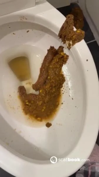 Bossys Bathroom Blunder A Splattered Catastrophe (Bossy Delilah) USA, Kaviar [SD] Scatbook