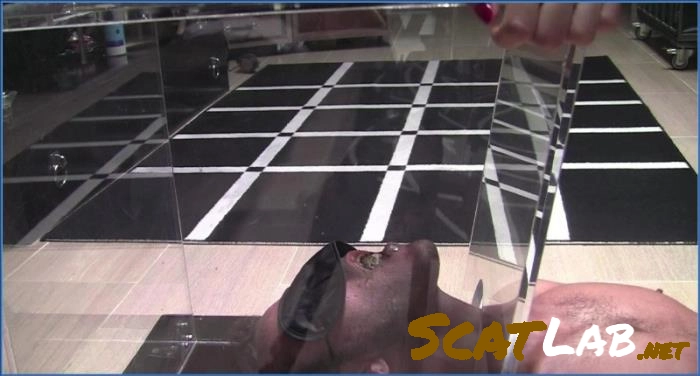 Download Mistress Gaia Dominates with Scat and Pissing in HD 720p ScatLab.net