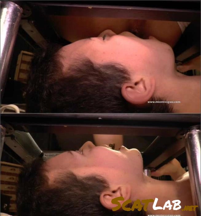 Download Mistress Gaia Dominates Slave Niky in Intense ZOOM SHIT Session FullHD 1080p ScatLab.net