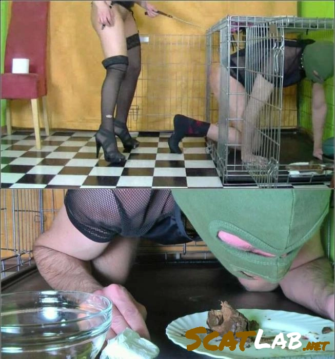 Download Lady Melissa, Lady Crocodile, Lady Sandra Pissing, BDSM – Lady Melissa - A mega bunch of shit Germany ScatLab.net